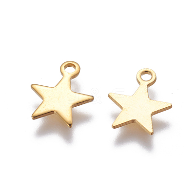 304 Stainless Steel Charms STAS-G190-27G-B-1