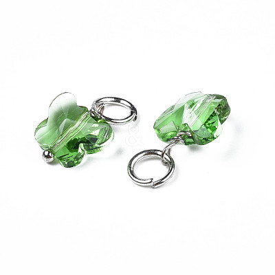 Faceted Transparent Glass Charms GLAA-T024-06G-1
