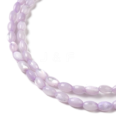 Natural Trochus Shell Beads Strands SHEL-K006-19B-1