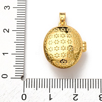 Brass Enamel Locket Pendants LS-KK-K305-05G-1