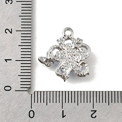 Alloy Acrylic Pendants PALLOY-R157-02P-02-1