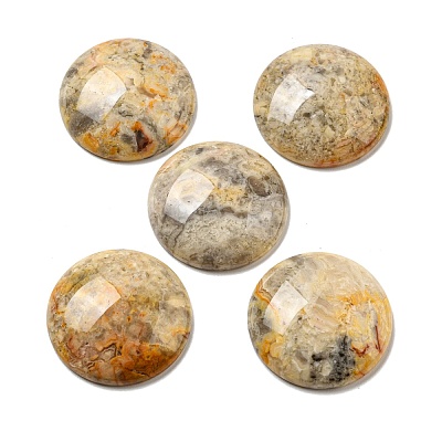Natural Crazy Agate Cabochons G-C115-02B-23-1