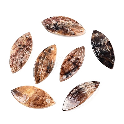 Spray Painted Natural Akoya Shell Mother of Pearl Shell Pendants SHEL-T020-09-1