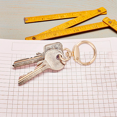 20Pcs Alloy Swivel Key Chain Spring Gate Clasp FIND-AN0001-54-1