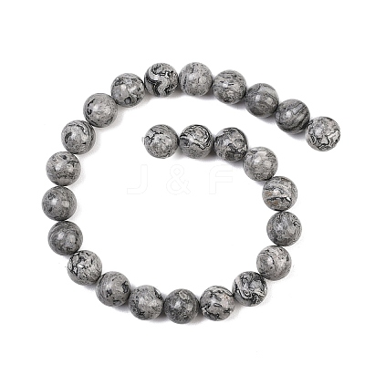 Natural Map Stone Beads Strands G-L648-A05-16mm-1