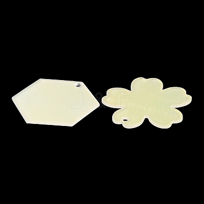 Acrylic Pendants OACR-B009-01C-1