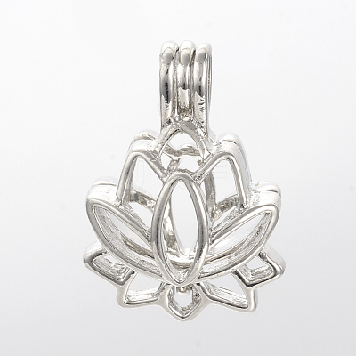 Alloy Locket Pendants X-PALLOY-S062-40P-1