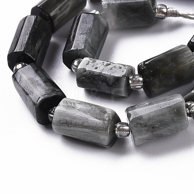 Natural Hawk's Eye Beads Strands X-G-S345-8x11-009-1