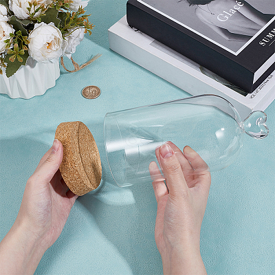 Glass Dome Cover AJEW-WH0604-68V-1