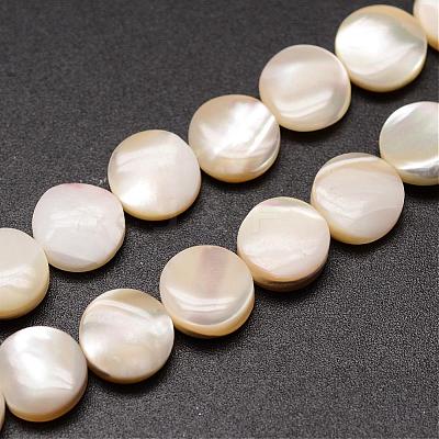 Natural Trochid Shell/Trochus Shell Beads Strands SSHEL-K016-04-1