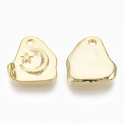 Alloy Charms PALLOY-S135-022-NR-1