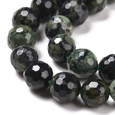 Natural Kambaba Jasper Beads Strands G-E571-04B-1
