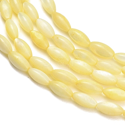 Natural Freshwater Shell Beads Strands SHEL-C010-01B-1