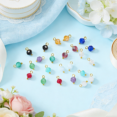 24Pcs 12 Styles Natural Gemstone Birthstone Pendants PALLOY-SW00109-1