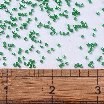 MIYUKI Delica Beads X-SEED-J020-DB0655-1
