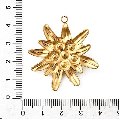 304 Stainless Steel Pendants STAS-Z149-05B-G-1
