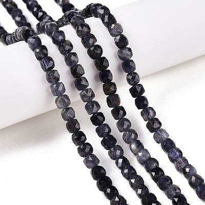 Natural Iolite Beads Strands G-N342-112A-1