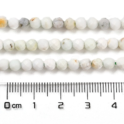 Natural Green Opal Beads Strands G-Z035-A02-03D-1