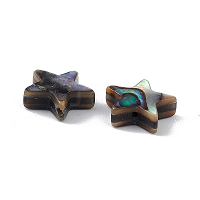 Natural Abalone Shell/Paua Shell Beads SSHEL-M021-01-1