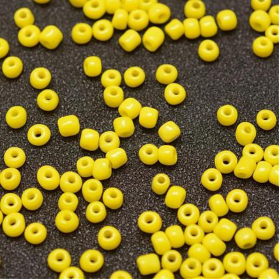6/0 Glass Seed Beads X-SEED-J014-F6-42-1