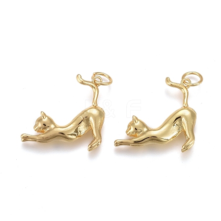 Brass Pendants X-KK-Z001-07G-1