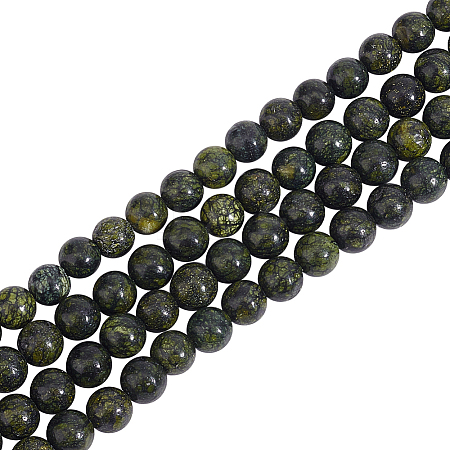Olycraft 4 Strands Natural Serpentine/Green Lace Stone Beads Strands G-OC0004-23-1