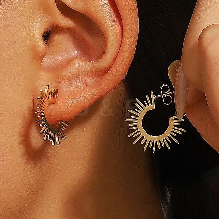 304 Stainless Steel Stud Earrings FS-WG82045-29-1