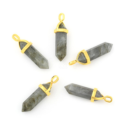 Natural Labradorite Pointed Pendants X-G-G902-A11-1