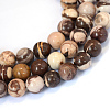 Natural Zebra Jasper Round Bead Strands X-G-E334-8mm-12-1