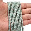Natural Amazonite Beads Strands G-L635-A35-4x2mm-2