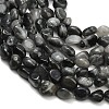 Natural Eagle Eye Stone Beads Strands G-D108-A02-03-3