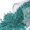 TOHO Round Seed Beads SEED-XTR15-0377-1