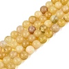 Natural Yellow Opal Beads Strands G-Q616-05A-2
