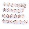 Alloy Enamel Charms FIND-SX0001-016-1