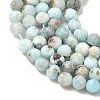 Natural Larimar Beads Strands G-F785-B01-01A-4