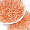 Spray Painted Transparent Glass Seed Beads SEED-T007-05D-3