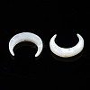 Natural White Shell Mother of Pearl Shell Beads X-SSHEL-T012-07-3