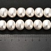 Shell Pearl Beads Strands BSHE-F013-01A-5