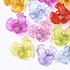Transparent Acrylic Pendants TACR-S133-114-1