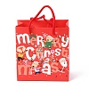 Christmas Themed Paper Bags CARB-P006-06A-04-3