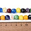Handmade Lampwork Beads Strands LAMP-Q041-11B-4