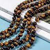 Natural Tiger Eye Beads Strands X-G-J303-11-8mm-5