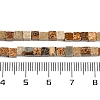 Natural Picture Jasper Beads Strands G-B129-A06-01-5