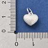 925 Sterling Silver Charms STER-S009-07A-S-3