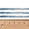 Gradient Color Natural Devil Blue Aquamarine Beads Strands G-NH0072-B01-4mm-6