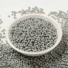 MIYUKI Round Rocailles Beads SEED-G008-RR1866-2