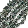 Natural Jade Beads Strands G-Z081-A02-2