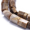 Natural Petrified Wood Beads Strands G-K293-J02-E-3