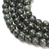 Natural Green Kyanite Beads Strands G-H335-B02-6mm-AB-4