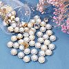 SUPERFINDINGS 80Pcs 2 Colors Sew on Rhinestone RESI-FH0001-46-4